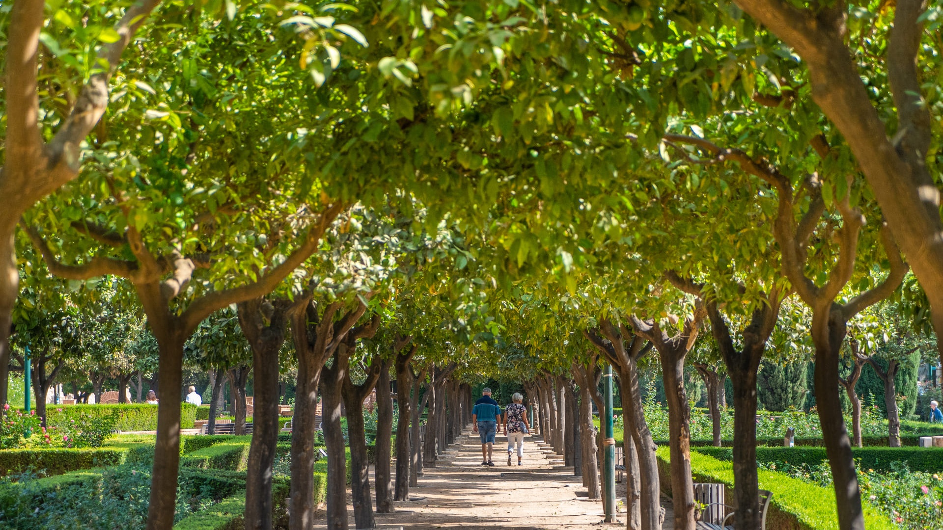 TDM-Jardines-Pedro-Luis-Alonso-Naturaleza-004 (1)