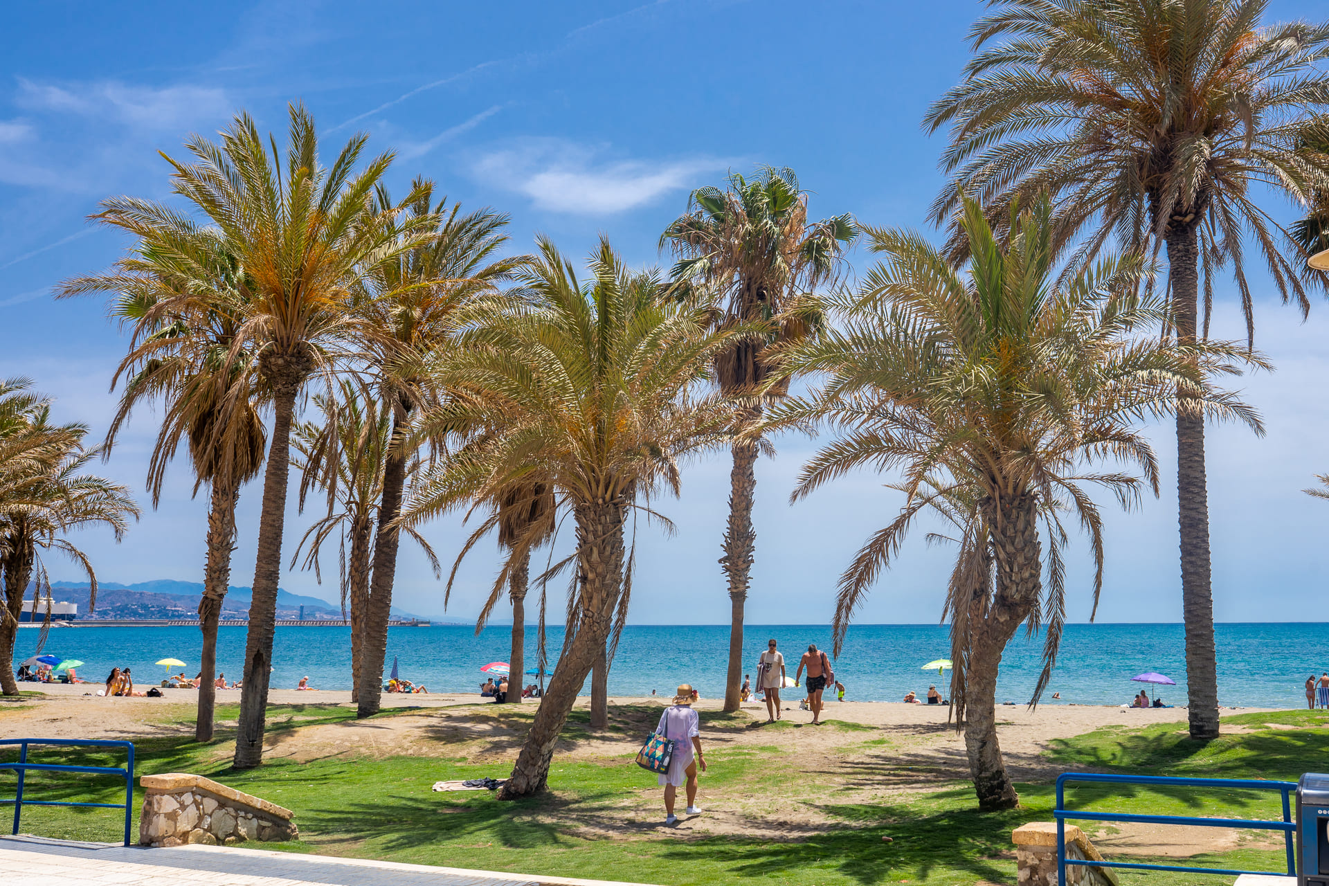TDM-Playa-Misericordia-Palmeras-23